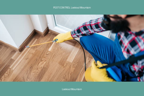 PEST CONTROL Lookout Mountain
